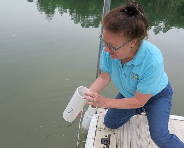 Sharon Natzel checks a tube while kneeling on a dock beside the lake.