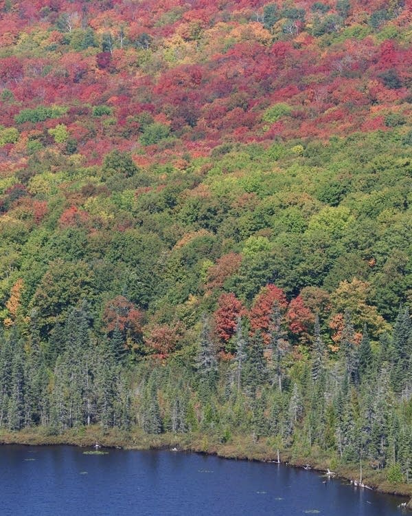 Fall colors are seen along ridges and hills