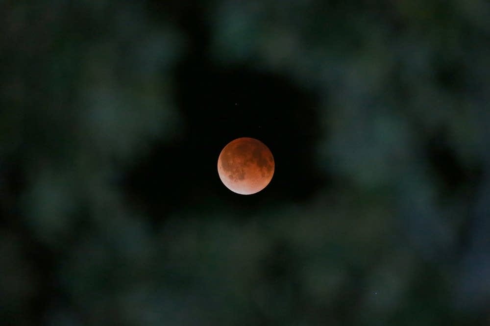'Blood moon' over Texas