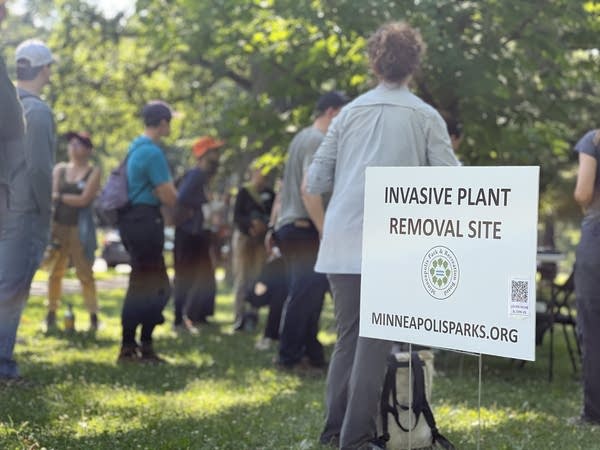 A group gathers on a trail next to a sign that reads "Invasive plant removal site."