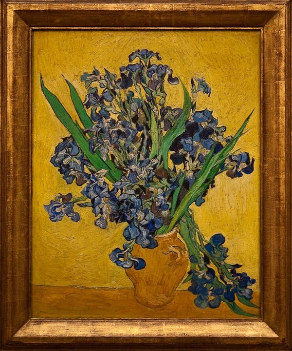 Vincent Van Gogh's "Irises" Saint-Remy-de-Provence