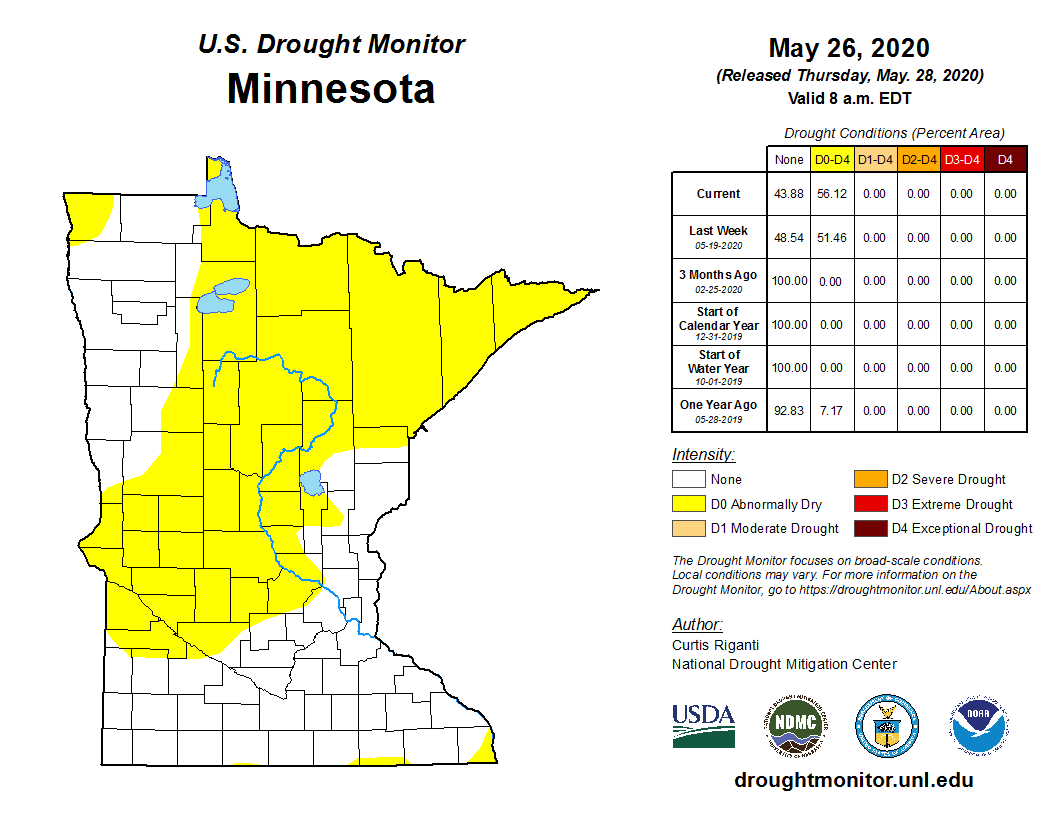 U.S. Drought Monitor for Minnesota