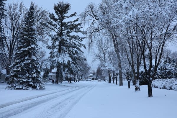 How much snow did Minnesota get? Here are snowfall totals tracked by weather watchers