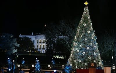 National Christmas Tree lighting