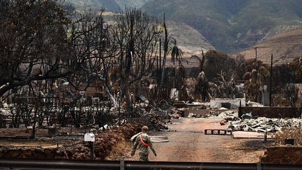 The cost of the Maui fire