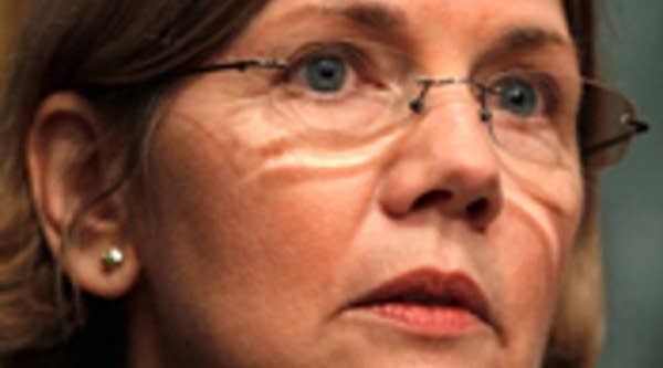 Professor Elizabeth Warren, chair of the Congressional Oversight Panel that oversees TARP.