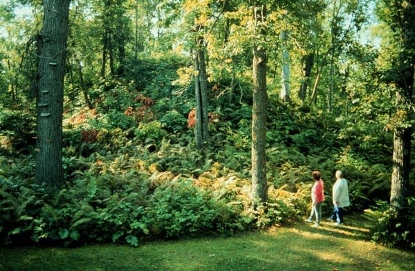 Minnesota Historical Society closes Grand Mound burial site