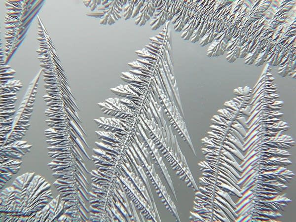 A frosty window