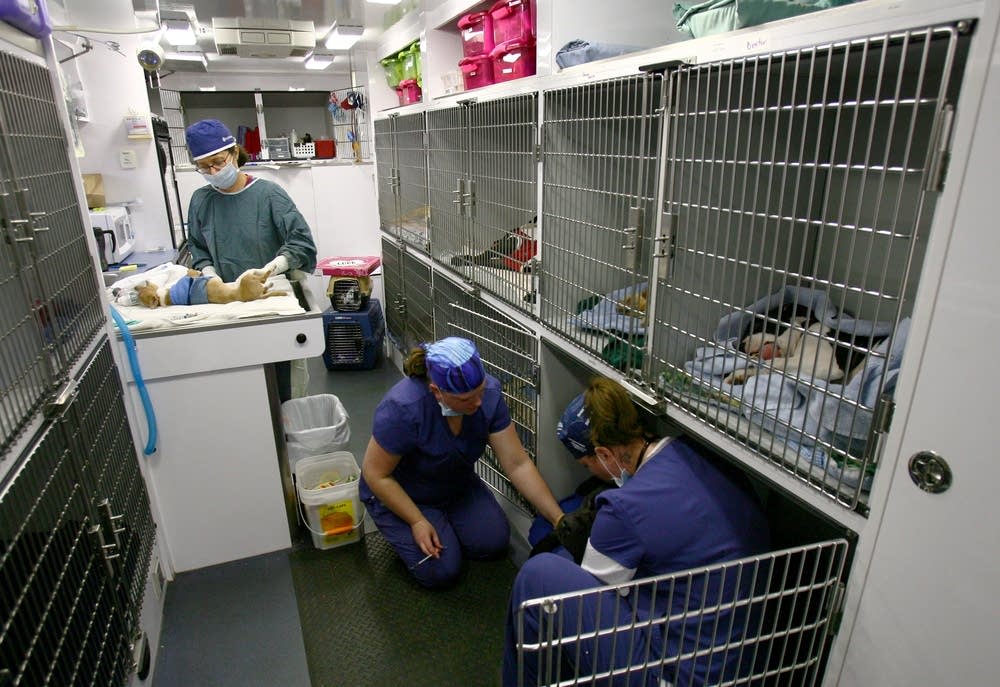 Kim Culbertson, left, evaluates a dog