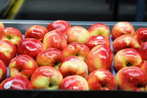 Judge: Work out the U of Minnesota's SweeTango mess yourselves