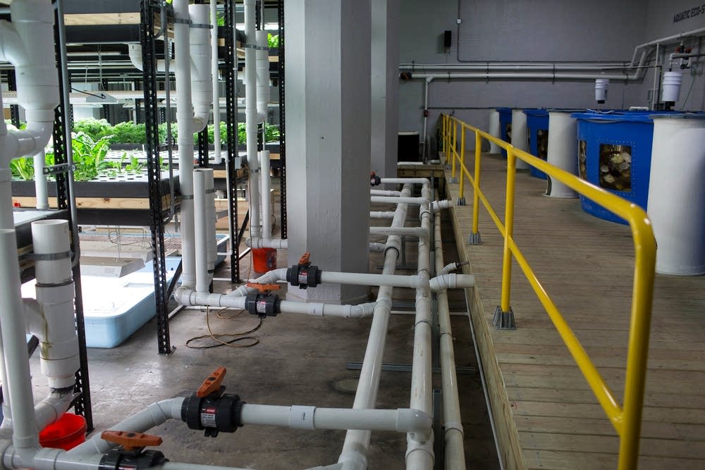 Water pipees