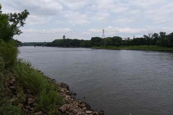 Wide shot of a river and its shoreline.