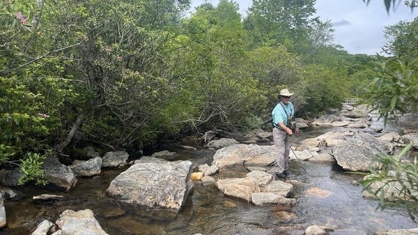 Thomas Champeau loves fishing in the high-altitude streams of the Smokies, like Yellowstone Prong creek.