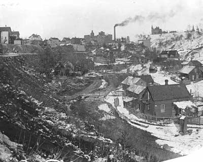 Swede Hollow