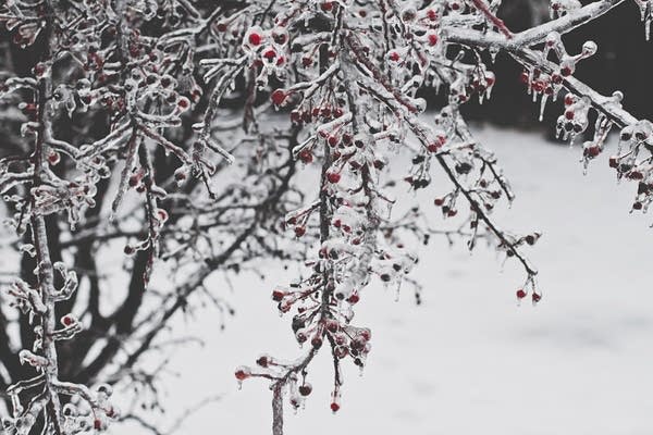 9:30 Coffee Break: Non-carol holiday songs