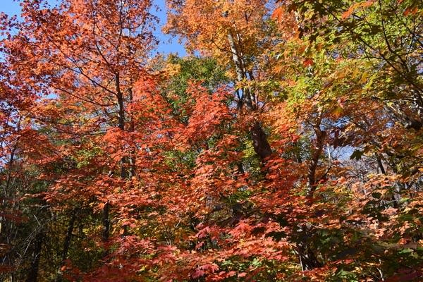  Possible weekend sprinkles, showers; mild temps into early next week