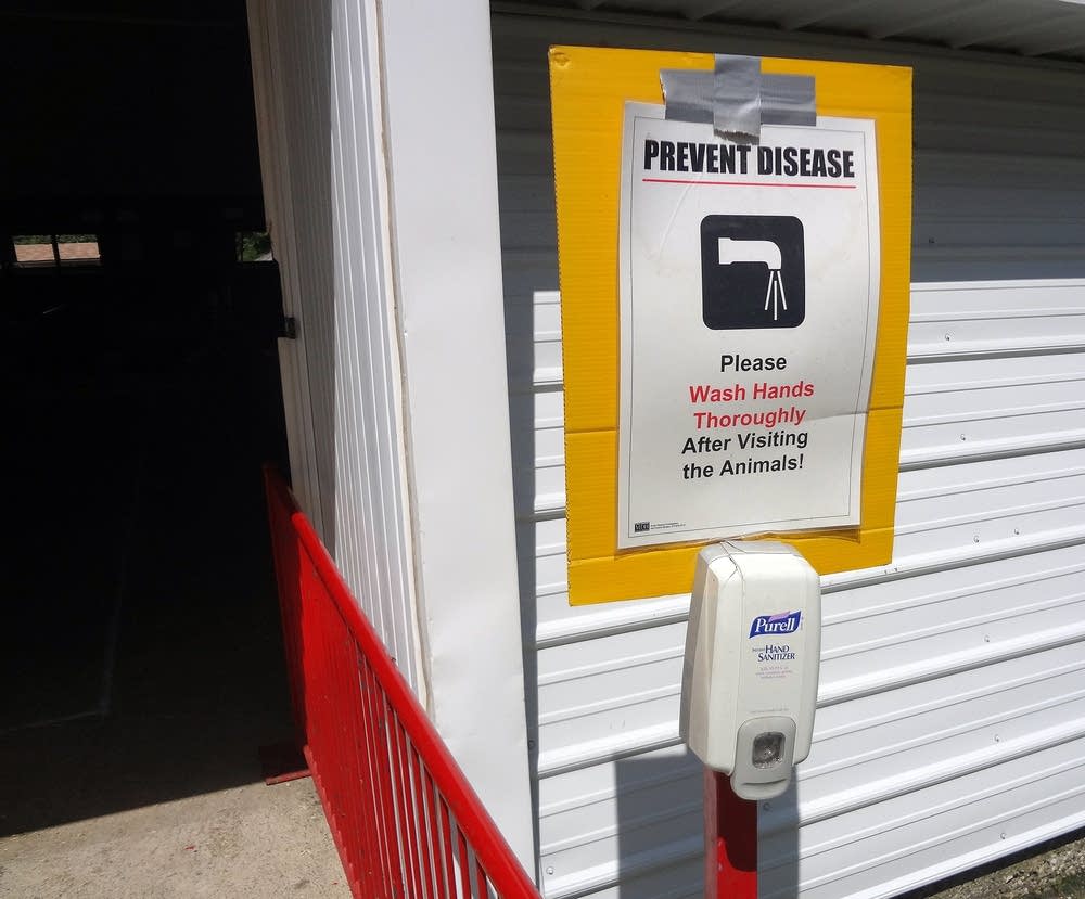 Signs at the swine barn remind fairgoers to wash.