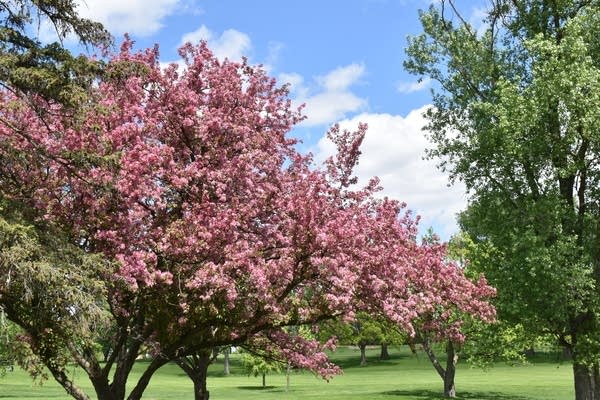 Memorial Day weekend weather: Summery; a few thunderstorms at times