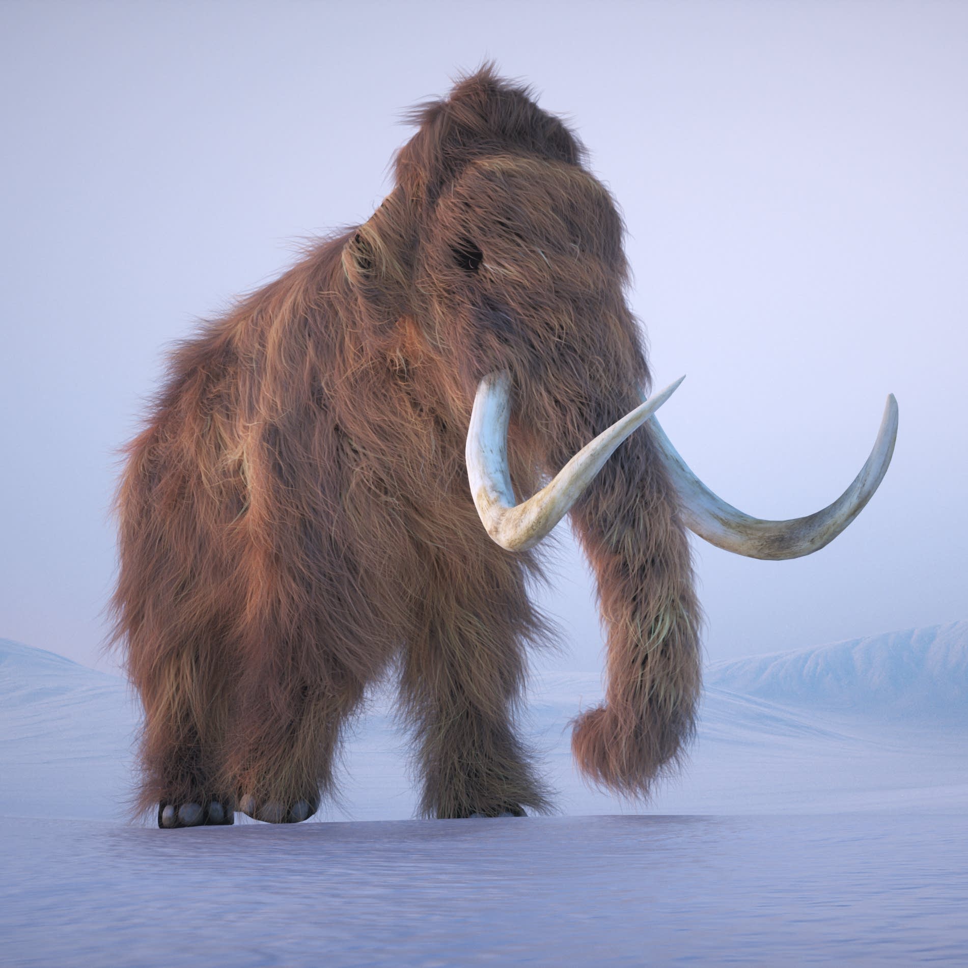Gene editing technology can help de-extinct some animals — but should it?