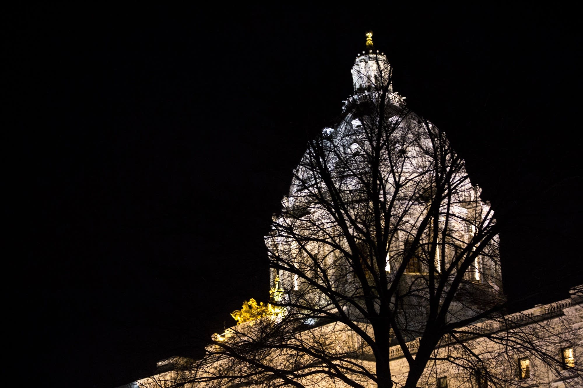 A tree stands in front of the State Capitol