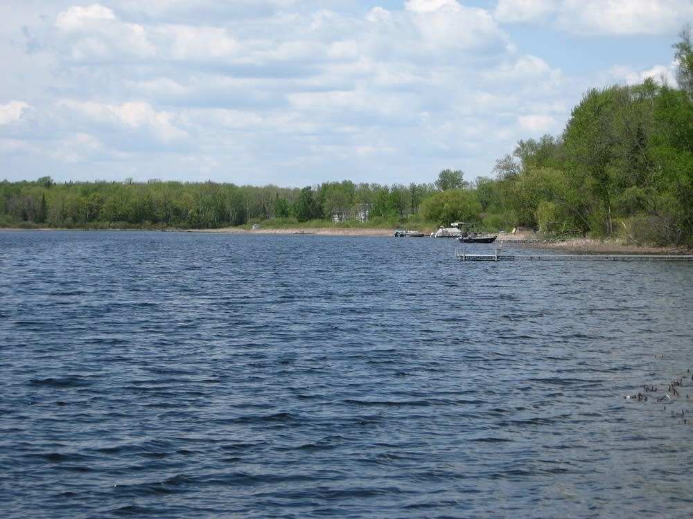 Swan Lake