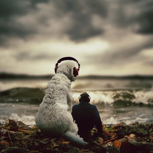 The adventures of a man and his 10-foot dog | MPR News