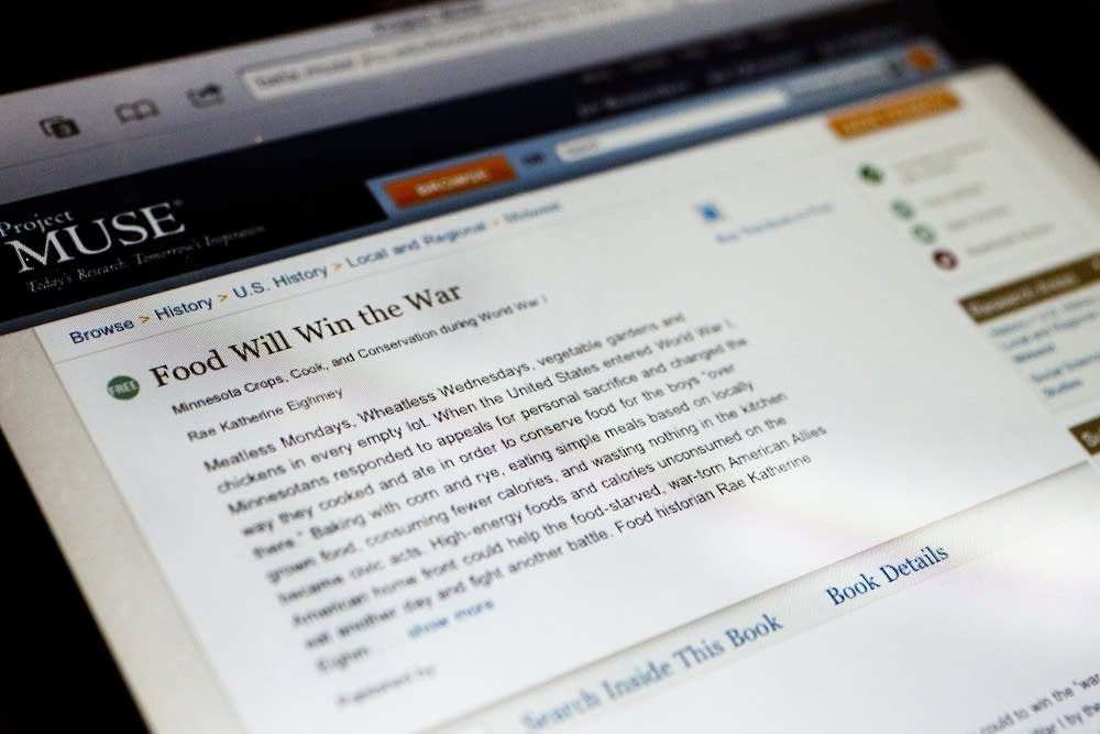 Electronic book