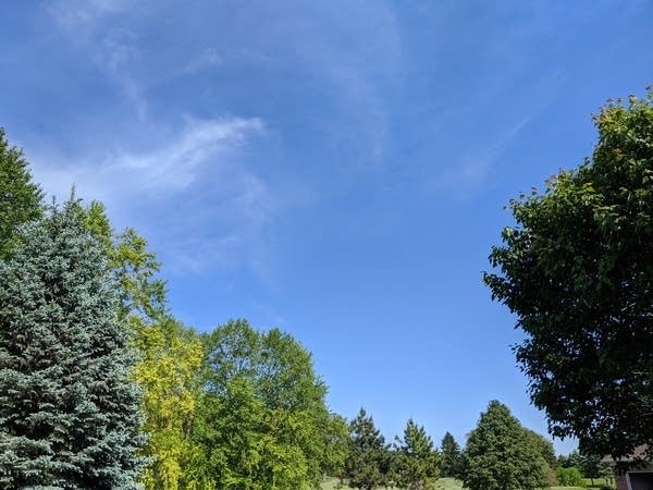 Classic summer forecast: Warm sunshine and spotty storms