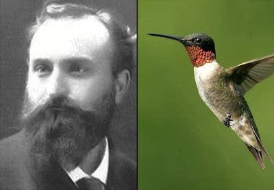 Chausson and Hummingbird