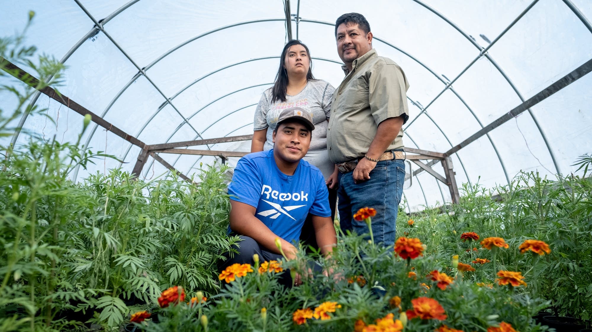 Family grows ‘flowers of the dead’ to help Minnesota honor Día de los