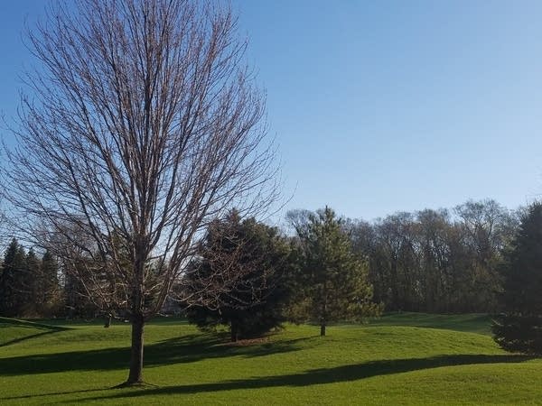 Sun and rain this week; James Hansen at Macalester Tuesday