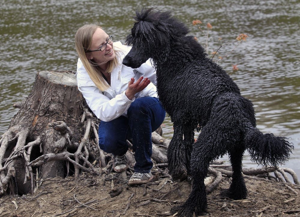 Ahna Brutlag and her poodle Monty at the dog park.