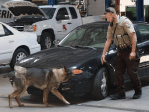 los angeles police k9 unit