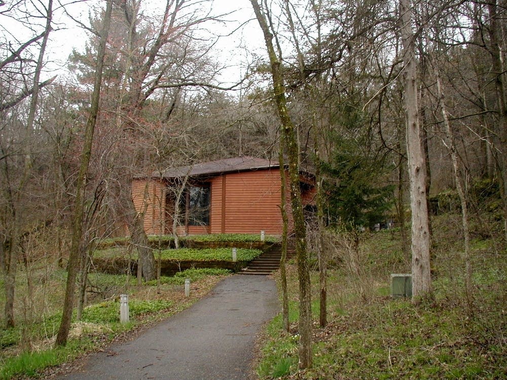 Pachyderm studio