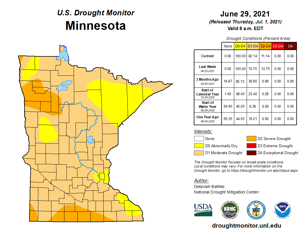 U.S. Drought Monitor for Minnesota