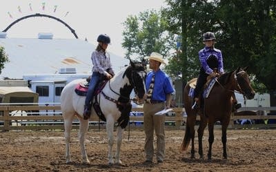 Horse judging