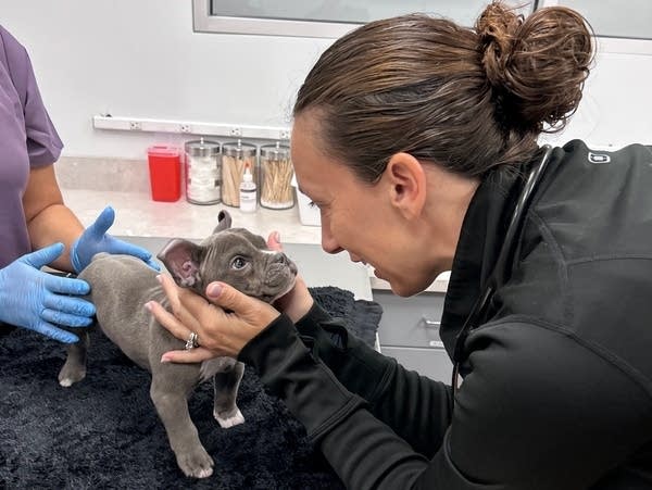 'There's great hope': Minnesota's first neurology-dedicated pet clinic opens