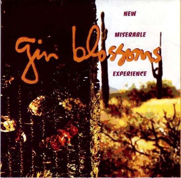 Aug. 4 in Music History: Gin Blossoms released 'New Miserable Experience'