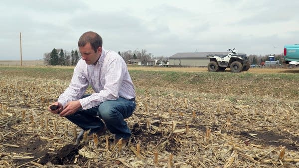 Brian Fruechte examines the soil on his southwest Minnesota farm.