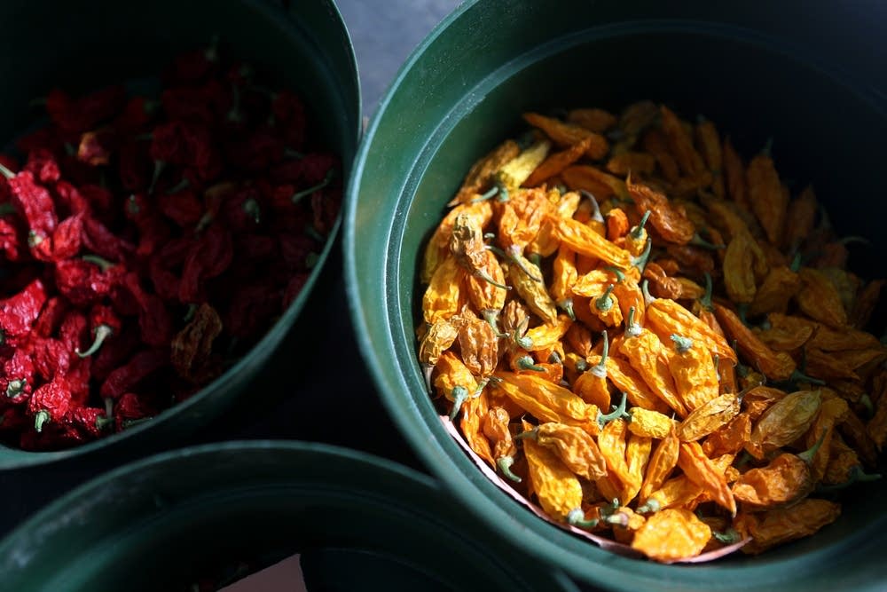 Drying peppers