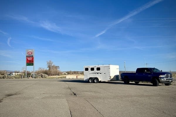 A black pickup pulls a white horse trailer in front of gas and diesel fuel price sign.