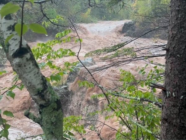 A view of a fast moving river through the trees.