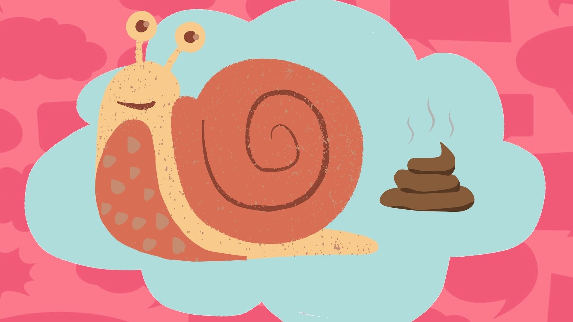 Do snails pee, poop, or fart? Moment of Um