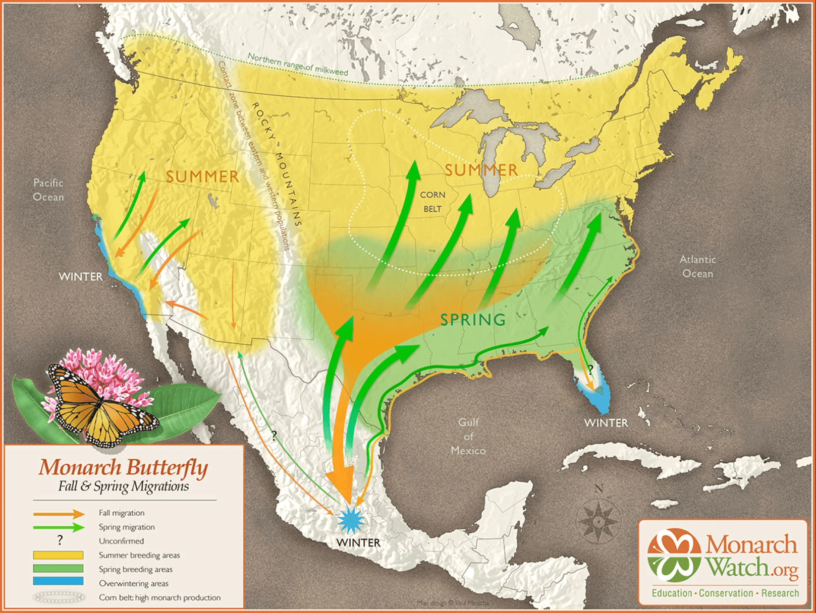 A map for butterflies 