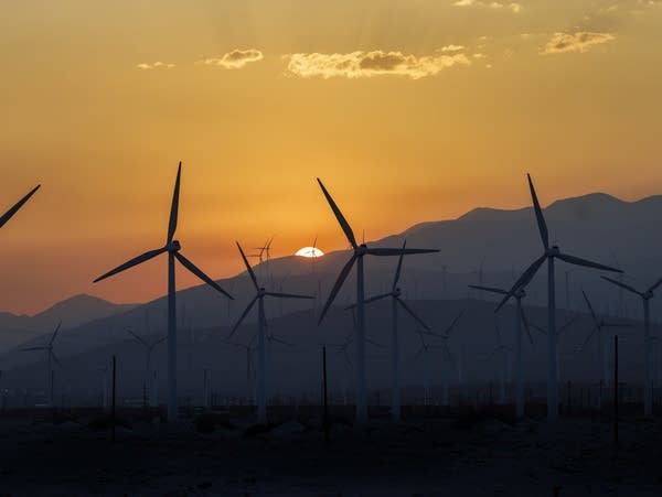 Solar and wind power has grown faster than electricity demand this year, report says