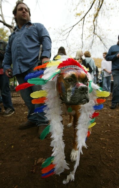 Dog Halloween Parade