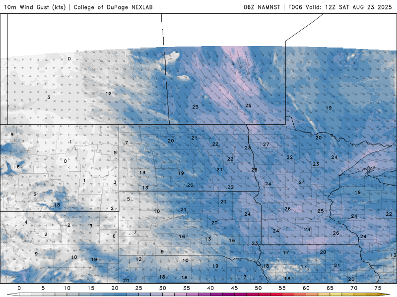 Wind speed and direction this weekend