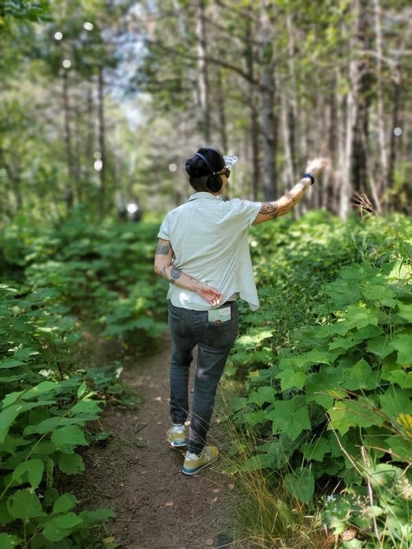 A person walks through the forest