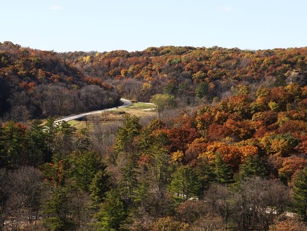 Fall colors and evergreens blossom in southeastern Minnesota.