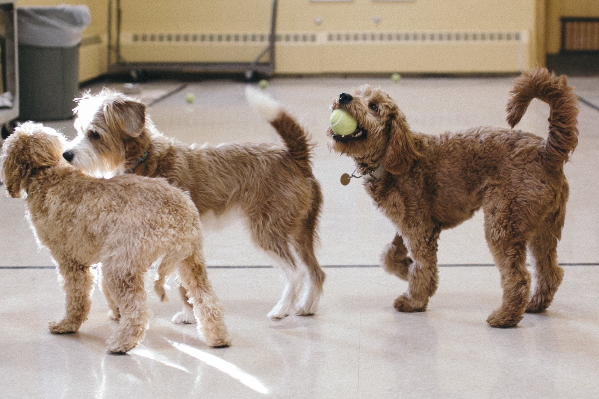 Obi Baxter and Izzie get to know each other.
